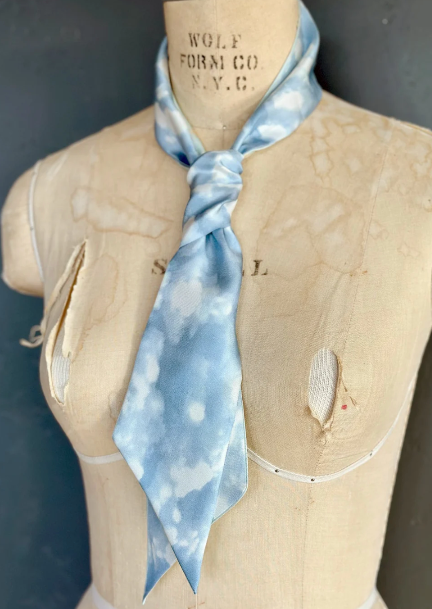 Day Dreaming of Bluebirds Petite Silky