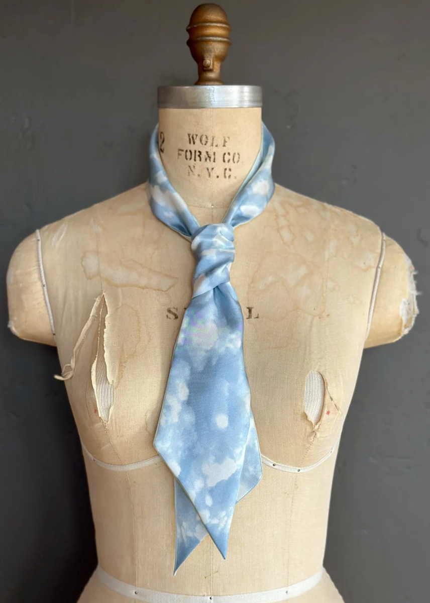 Day Dreaming of Bluebirds Petite Silky