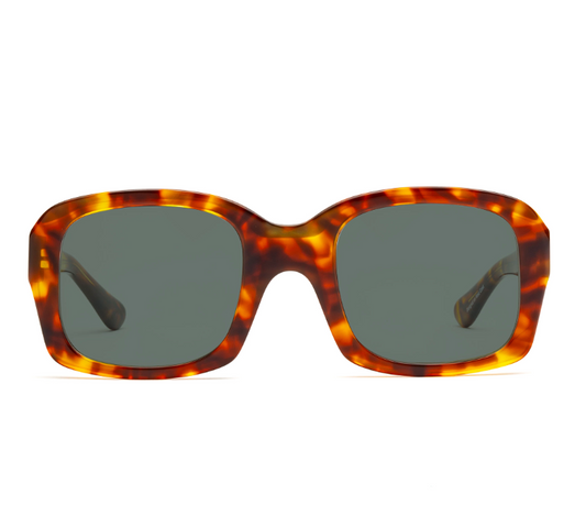 Shelby Tinted Readers