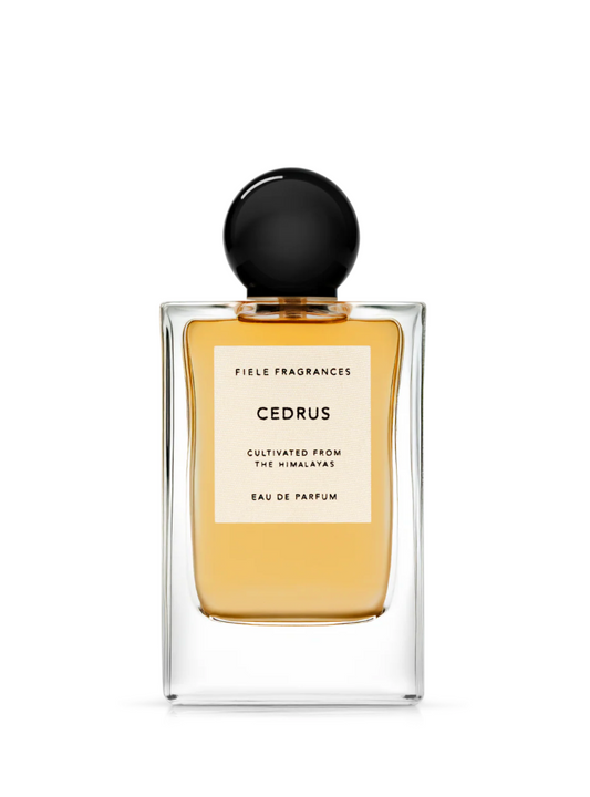 Cedrus eau de parfum